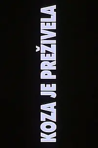 Главный постер фильма «Koza je prezivela (1991)»