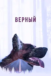 Постер к фильму «Верный (2016)»