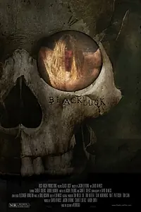 Главный постер фильма «Black Luck (2016)»