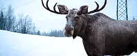 «Обратная связь (2020)» — кадр из фильма #10